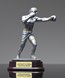 Picture of Silverstone Series Ringside Boxing Trophy