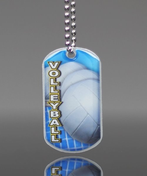 Picture of Volleyball Dog Tag