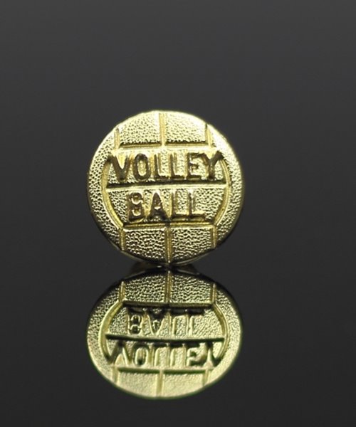 Picture of Volleyball Chenille Sports Pin