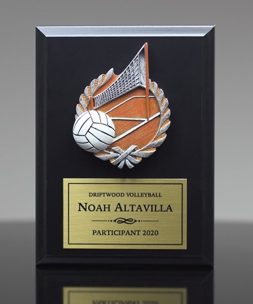 Picture of Color-Theme Volleyball Plaque