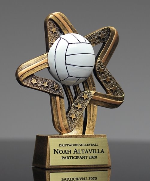 Picture of Mega Star Volleyball