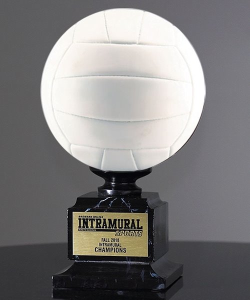 Picture of Volleyball Replica Sport Ball