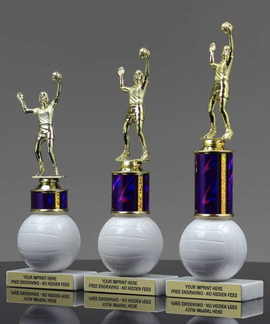 Volleyball Riser Trophy | Edco Awards