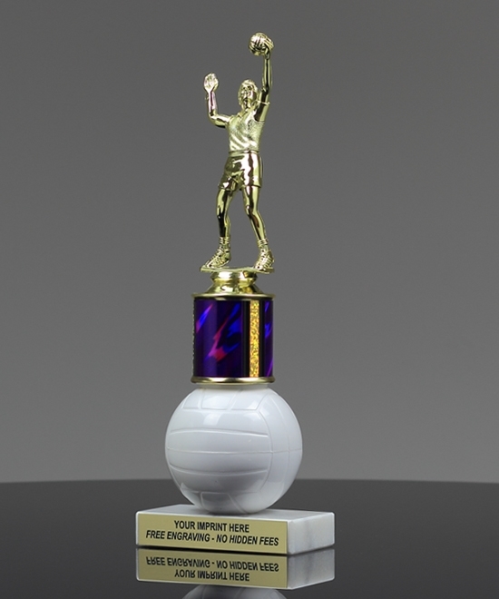 Volleyball Riser Trophy | Edco Awards