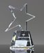 Picture of Crystal Meteor Star Award