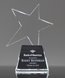 Picture of Crystal Meteor Star Award