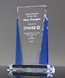 Picture of Clear Distinction Crystal Award