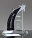 Picture of Dynamic Crystal Star Award