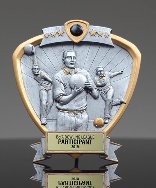 Picture of Silverstone Shield Bowling Award - Male