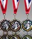 Picture of Bowling Star Medal