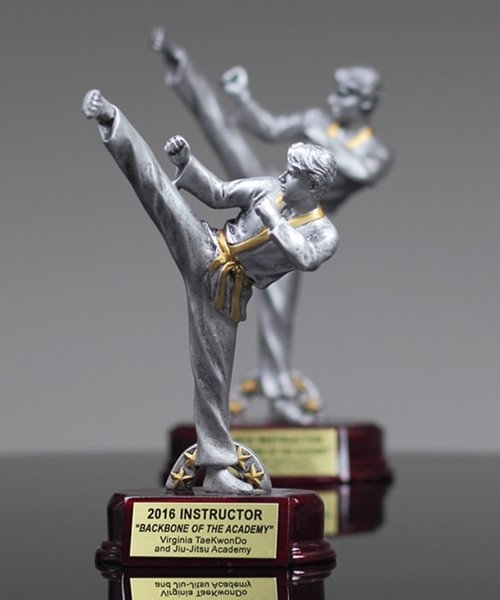 Picture of Martial Arts Classic Resin Award Male