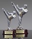 Picture of Martial Arts Classic Resin Award Male