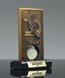 Picture of Spinner Track and Field Award