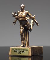 Picture of Track Superstar Award - Male