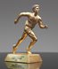Picture of Golden Track Award - Male