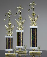 Picture of Track Finalist Trophy