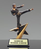 Picture of Star Power Karate Trophy