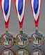 Picture of Epoxy-Domed Karate Medals