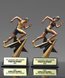 Picture of Star Power Track Trophy - Male