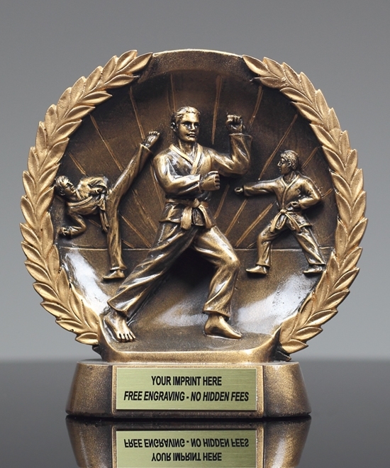 Bronzestone Karate Award