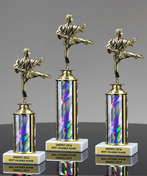 Picture of Martial Arts Athletica Trophy