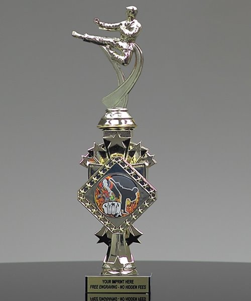 Picture of Diamond Star Karate