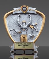 Picture of Swimming Shield Award - Male