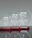 Picture of Acrylic Circle on Rosewood Base Award
