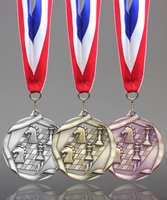 Picture of Chess Recognition Medals