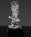 Picture of Journey Crystal Eagle Award