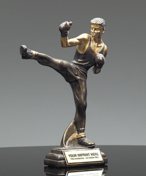 Cage Fighting MMA Mixed Martial Arts Trophy Award ENGRAVED FREE in 2 Sizes 