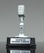 Picture of Vintage Microphone Award
