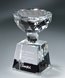 Picture of Triumph Cup Crystal