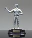 Picture of Silverstone Series Male Darts Award