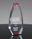 Picture of Crimson Distinction Award