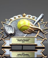 Picture of Silverstone 3-D Softball Award