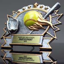 Picture for category Softball Resins