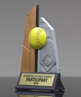 Picture of Skytower Softball Award