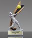 Picture of Live Action Softball Award