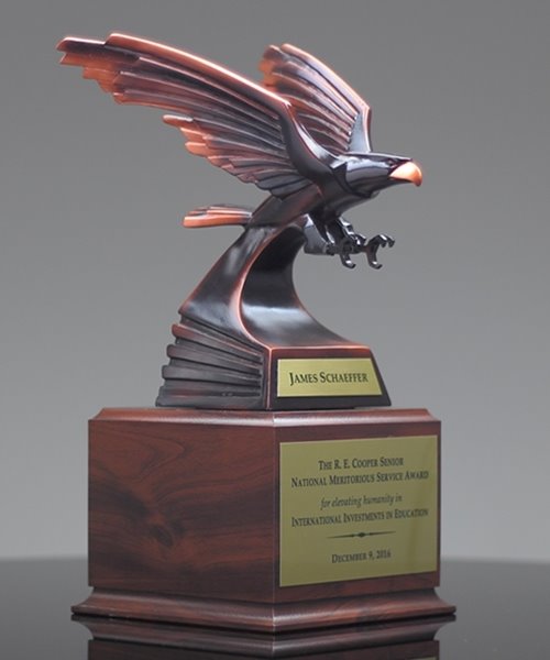 Picture of Eagle Achievement Award
