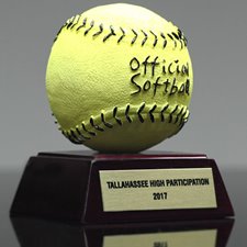 Picture for category View All Softball Awards