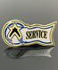 Picture of Service Award Pin