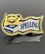 Picture of Spelling Award Pin