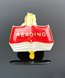 Picture of Reading Recognition Pin