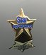 Picture of Star Performer Lapel Pin