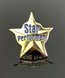 Picture of Star Performer Lapel Pin