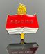 Picture of Reading Recognition Pin
