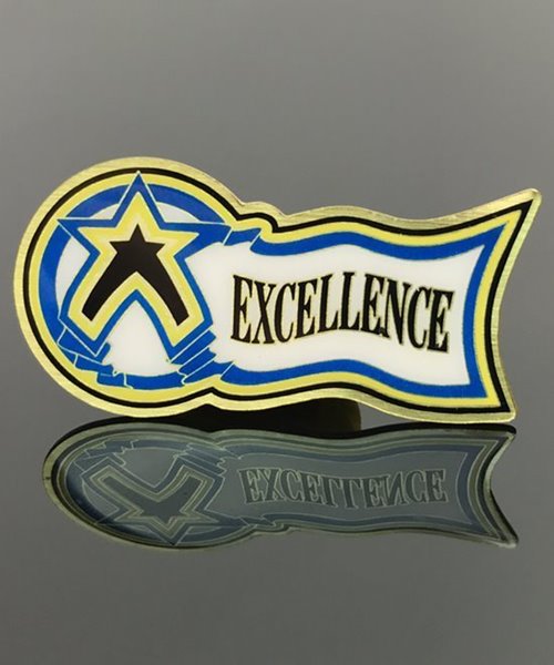 Picture of Excellence Award Pin