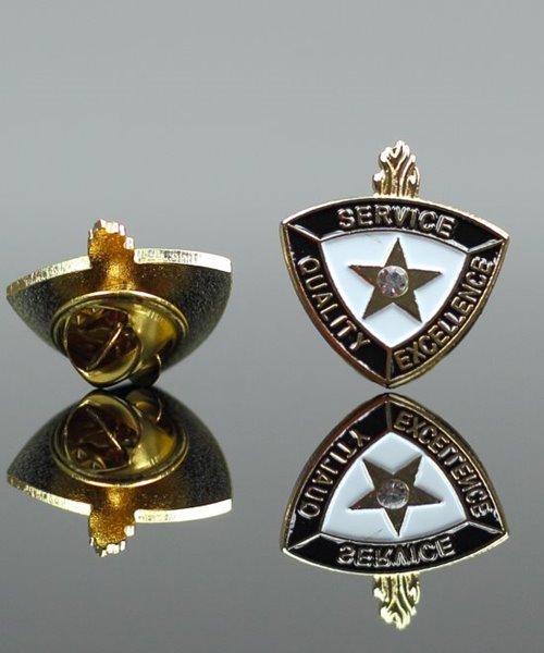Picture of Service Quality Excellence Pin