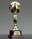 Picture of Distinction Baseball Trophy